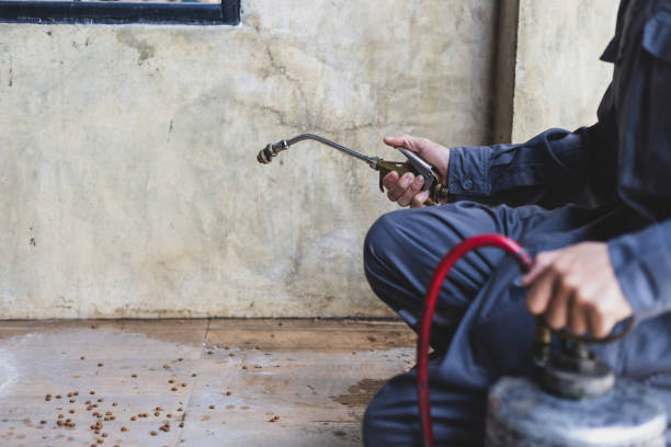 Best Residential Pest Control  in Wills Point, TX